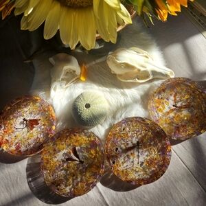 Real dragonfly coasters~Set of 4!